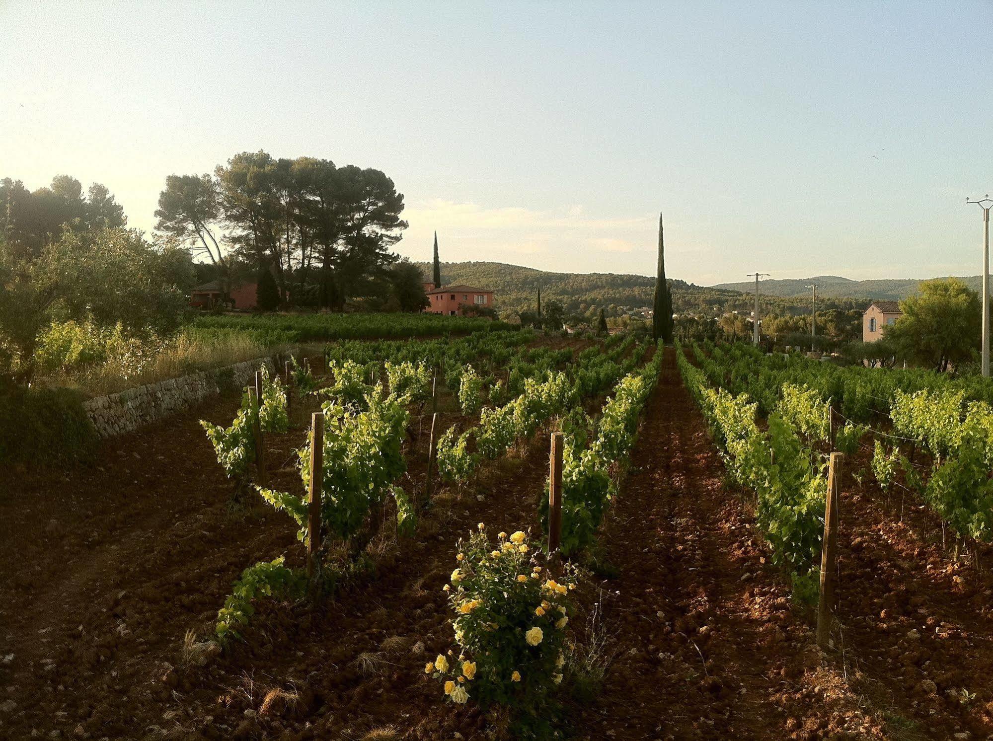Domaine Rabiega Flayosc Bagian luar foto