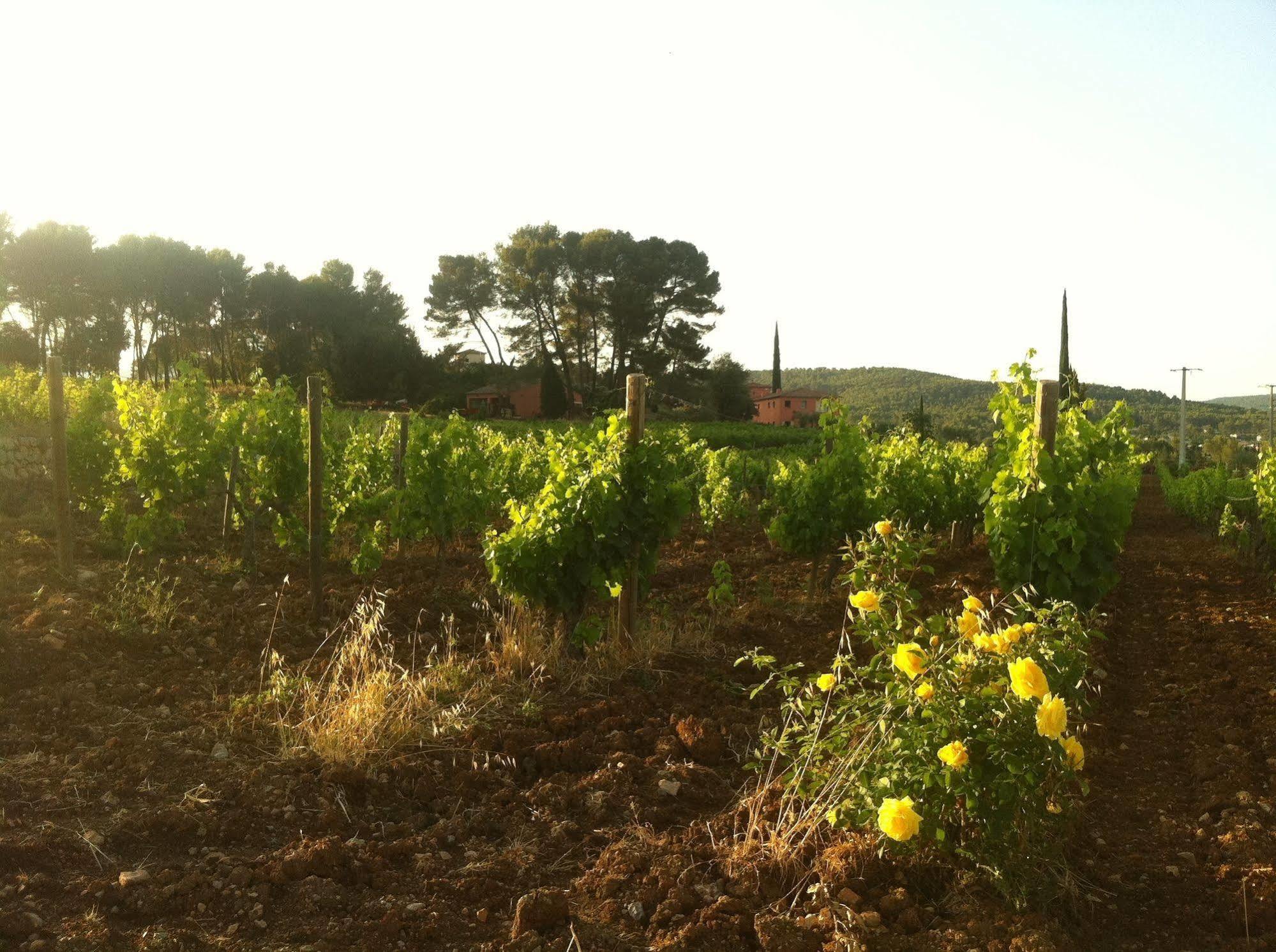 Domaine Rabiega Flayosc Bagian luar foto